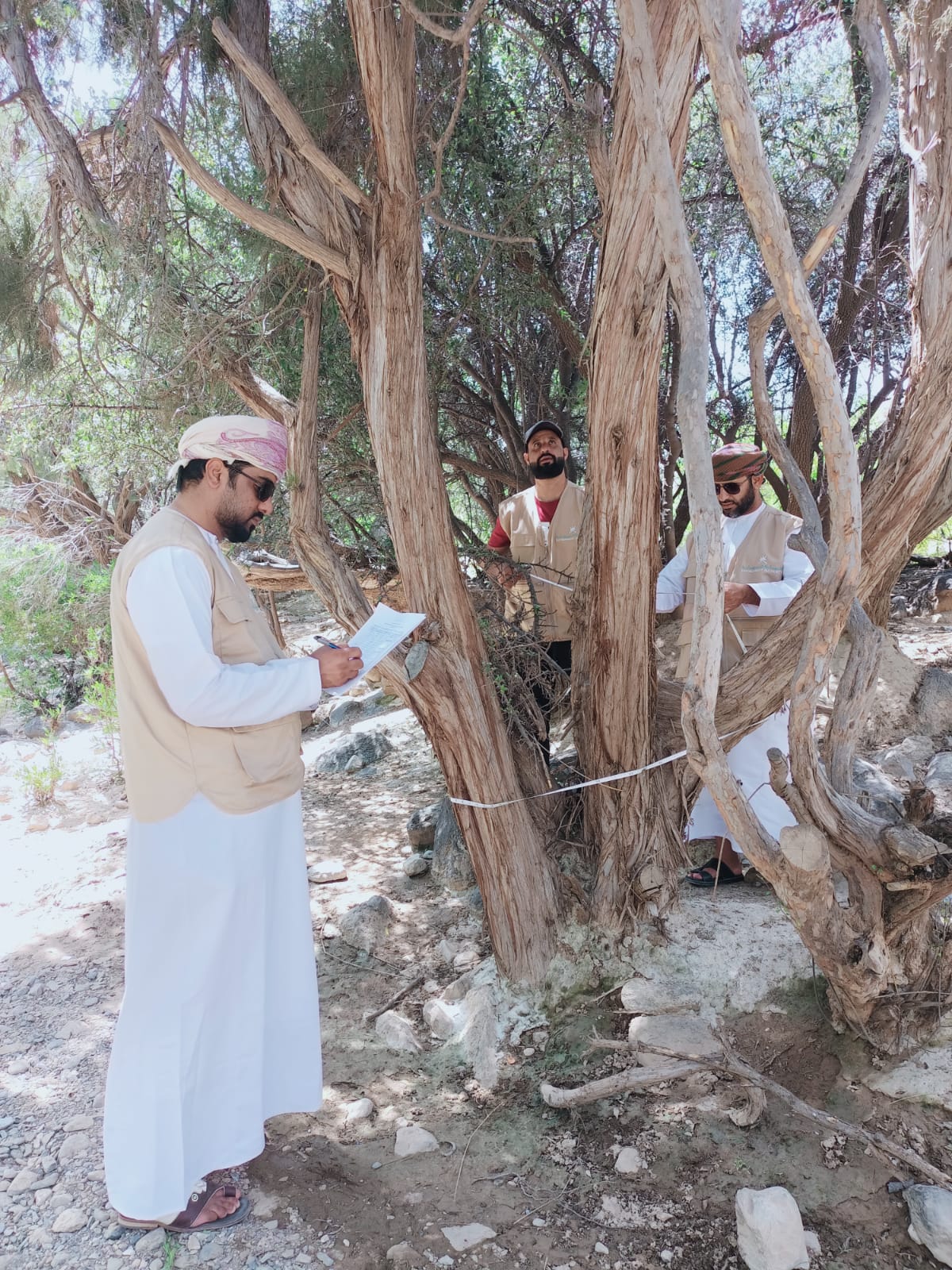 إدارة البيئة بمحافظة الداخلية تواصل حصر وتوثيق الأشجار البرية المُعمّرة بالمحافظة 2 62f2829b413ac