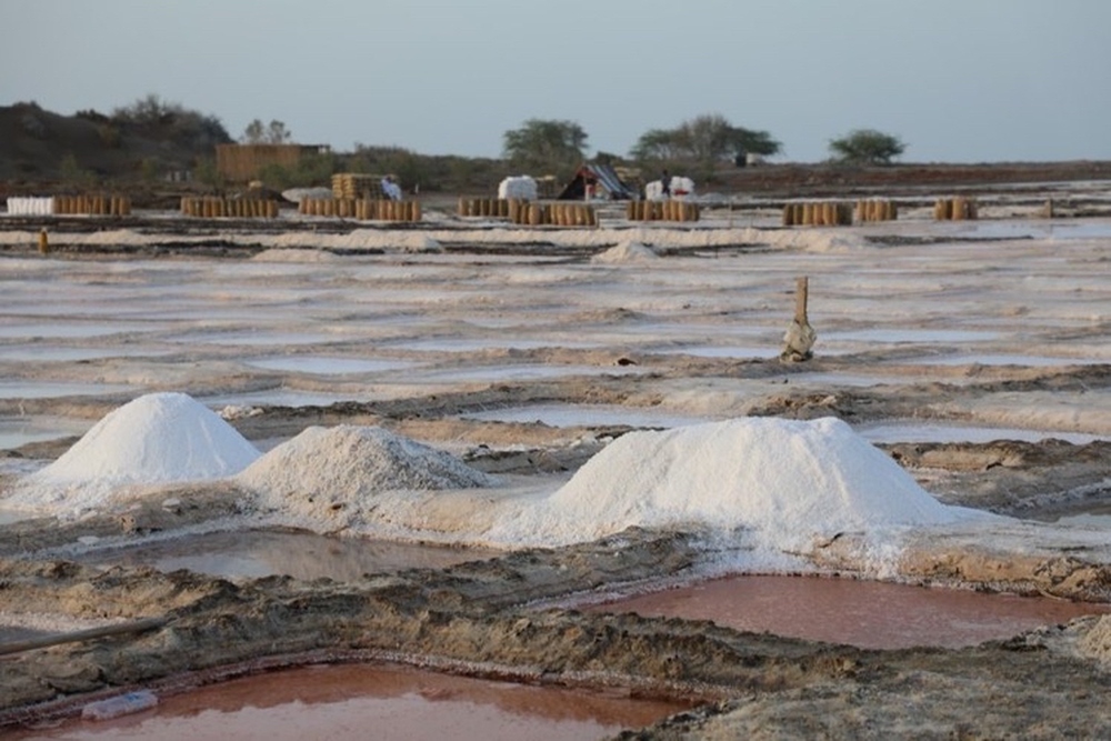 خور الملح بولاية قريات..كنوز من الطبيعة