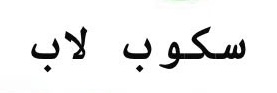 مركز سكوب لاب يعلن وظيفة شاغرة