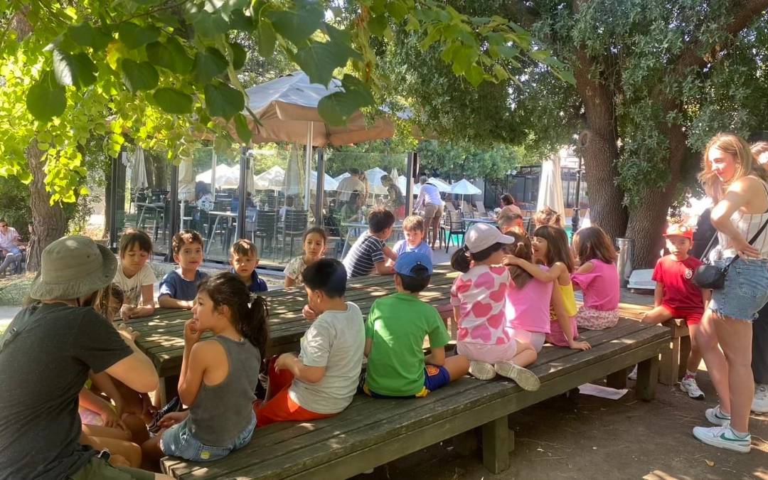 Volunteering in Turkey with AIESEC: Maira’s Inspiring Global Adventure
