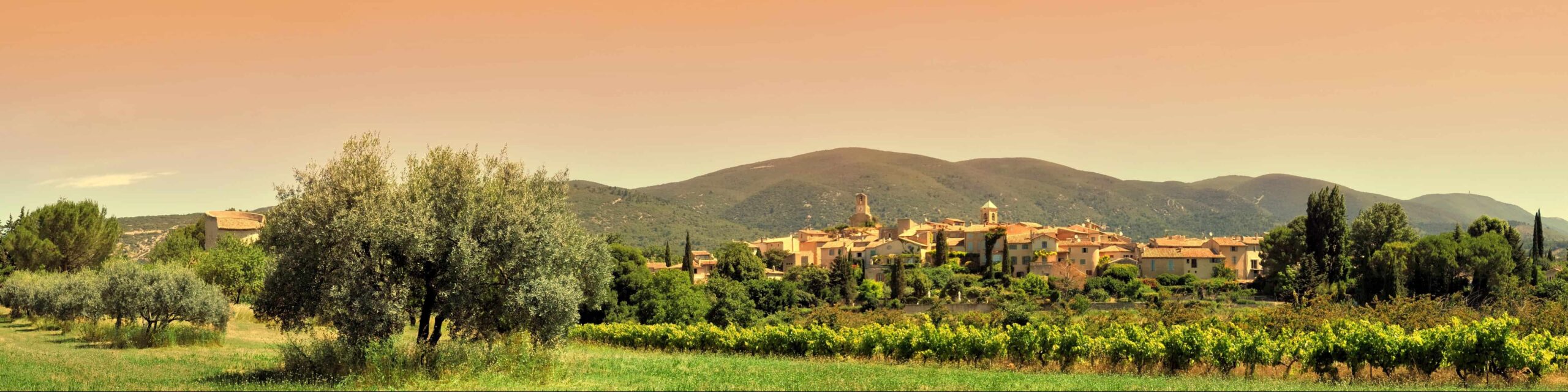 Cooperative La Crau