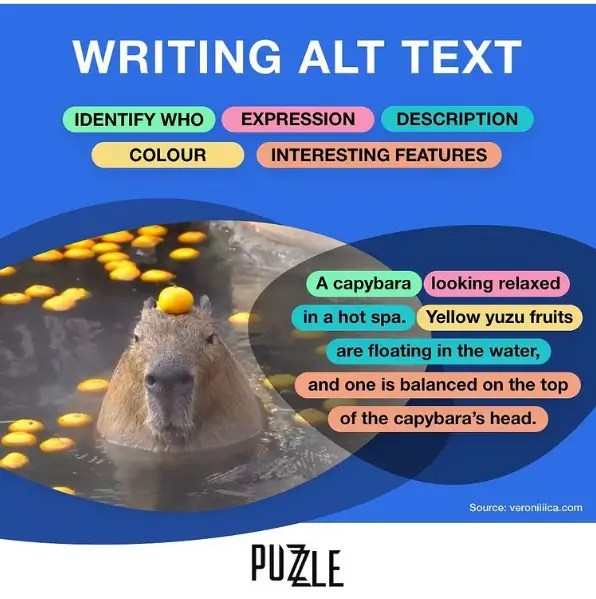 A meme for how to write ALT text. There is an image with the following description: “A capybara looking relaxed in a hot spa. Yellow yuzu fruits are floating in the water, and one is balanced on the top of the capybara’s head.”