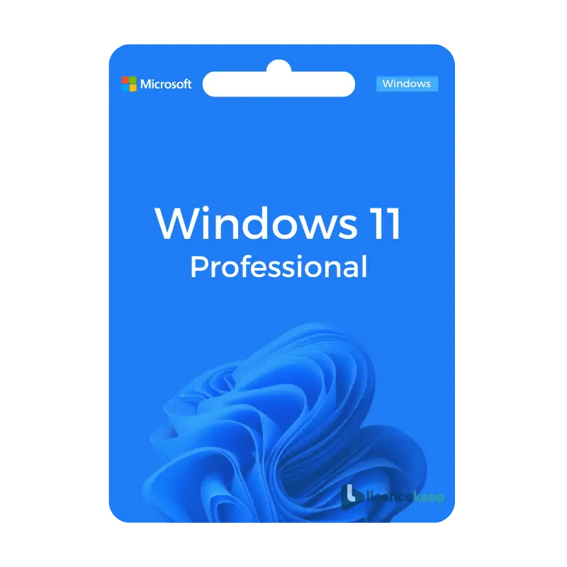 Windows 11 Professional