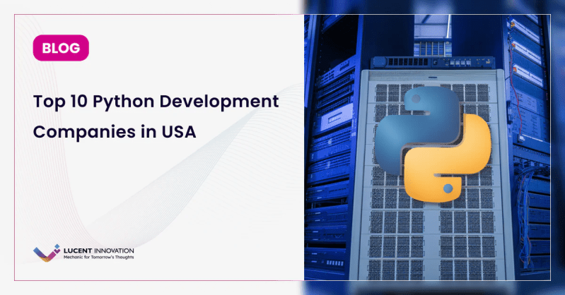 Top Python Development Companies In The Usa In 2024 Ecomstreet - Premium Ocean Illustration Gallery - Mobile