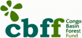 Congo Basin Forest Fund