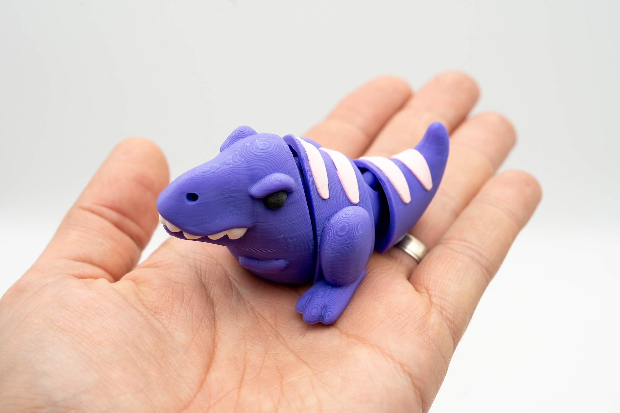 Spoolio Trex Raleur 5