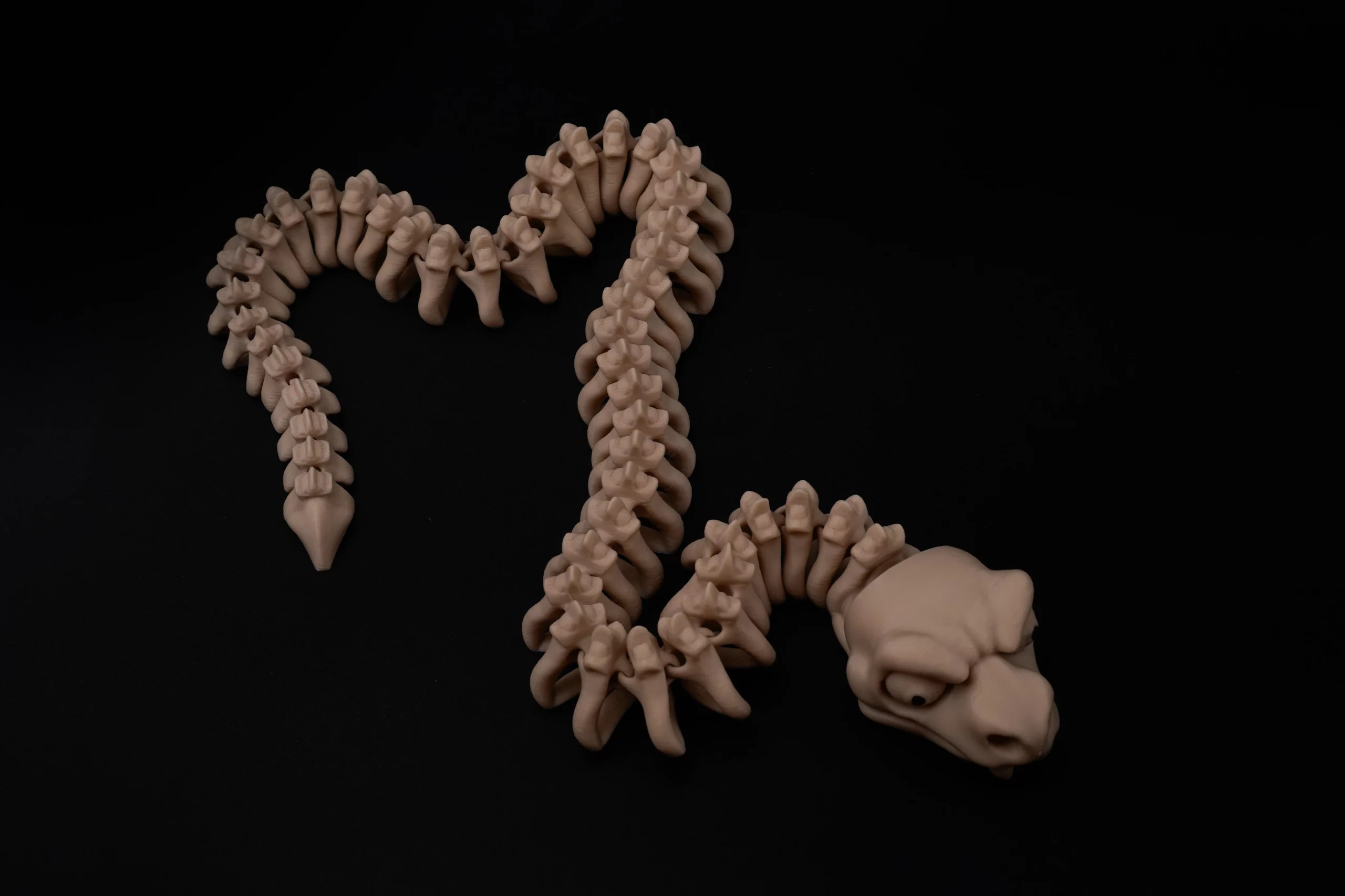 Spoolio SerpentSquelette 2