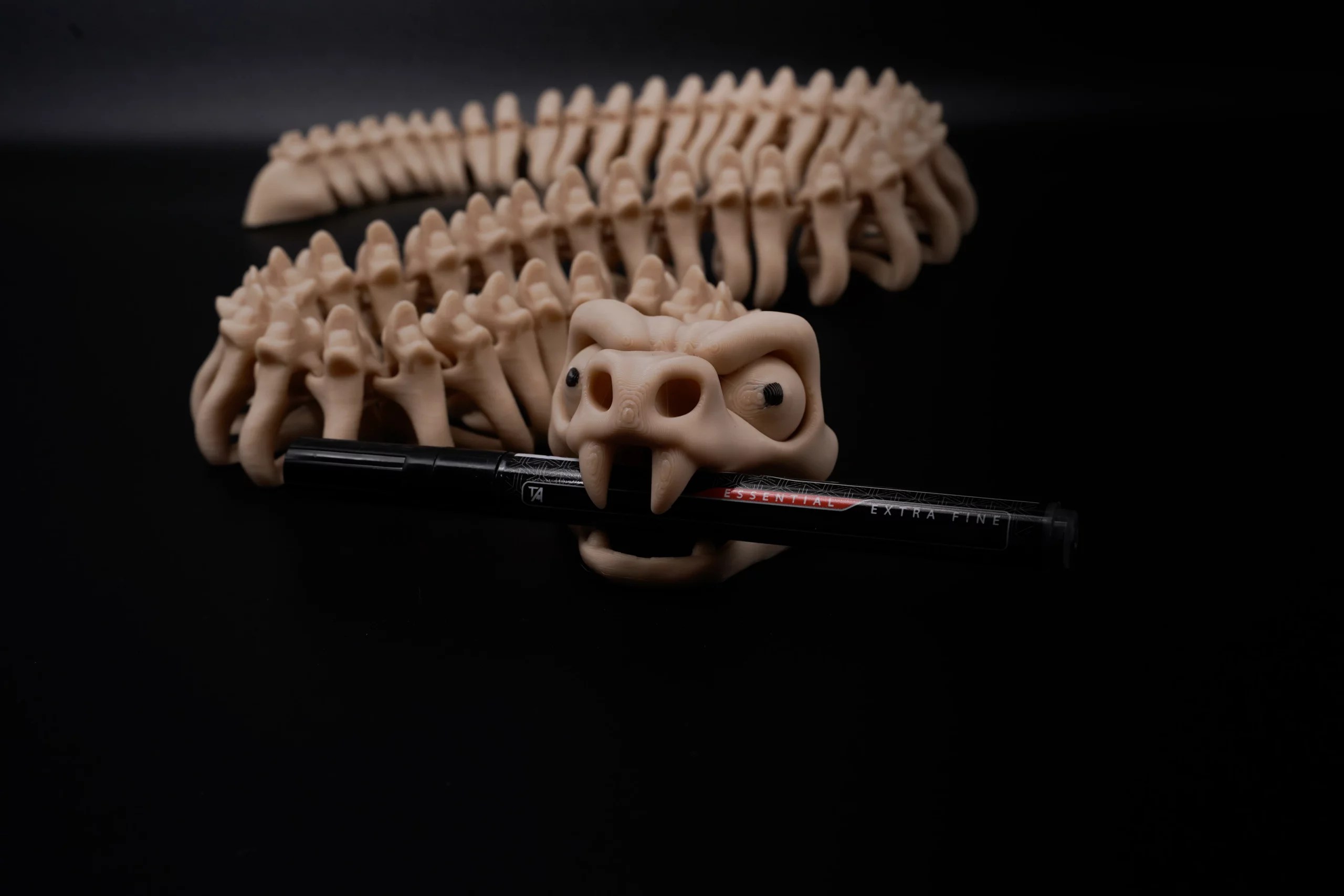 Spoolio SerpentSquelette 5