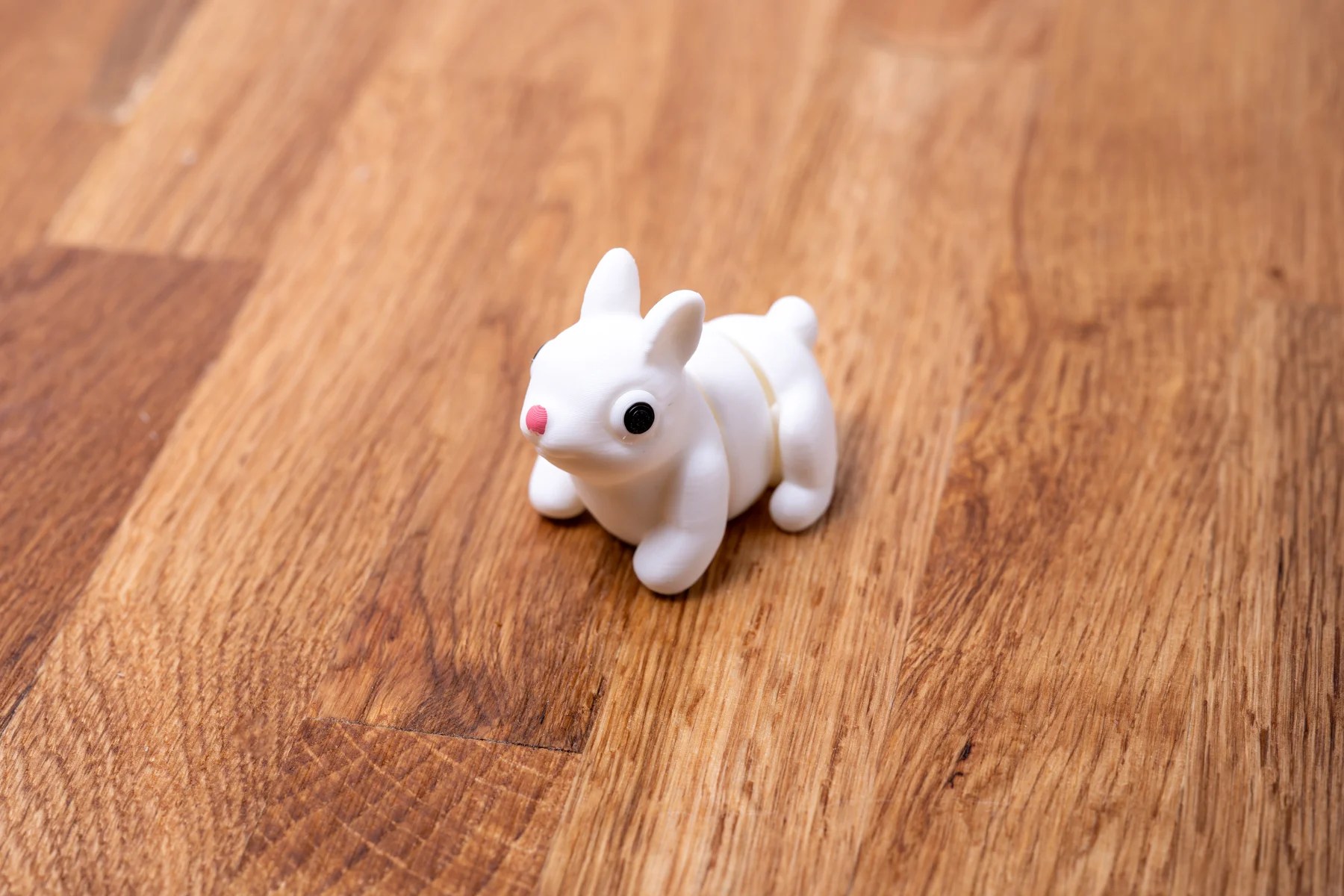 Spoolio animaux foret 03