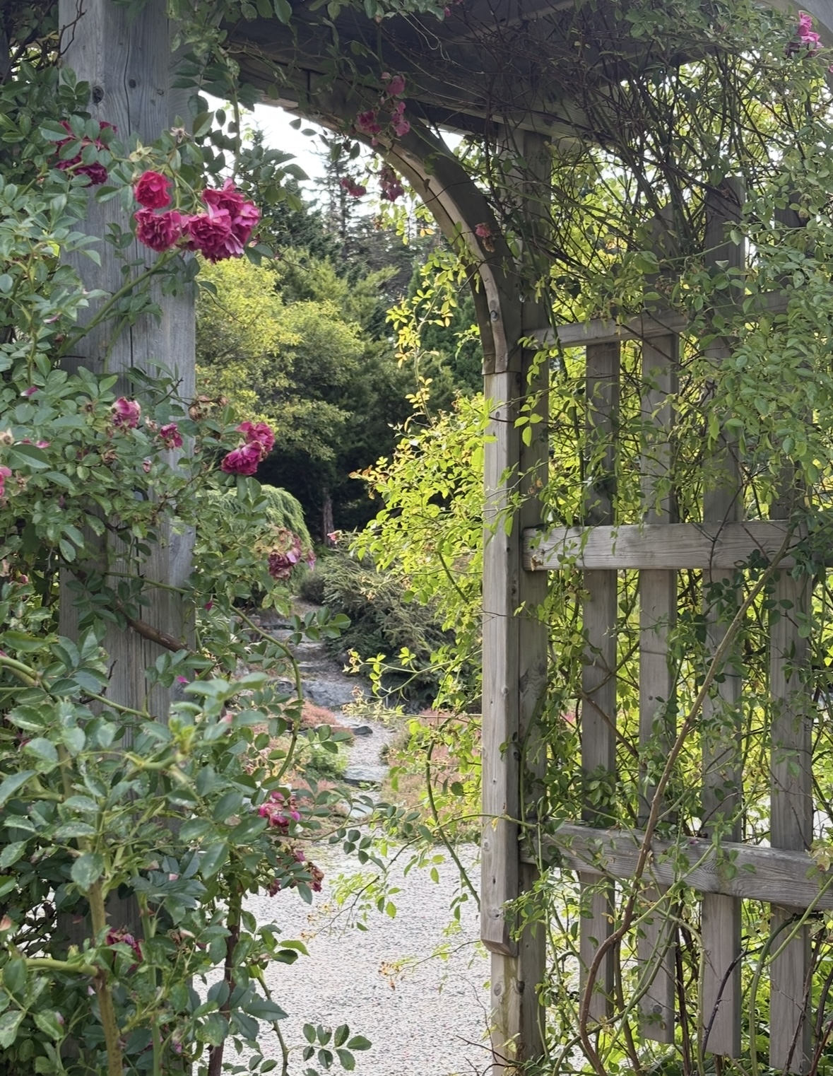 Giving researchers their flowers: Inside MUN’s Botanical Garden
