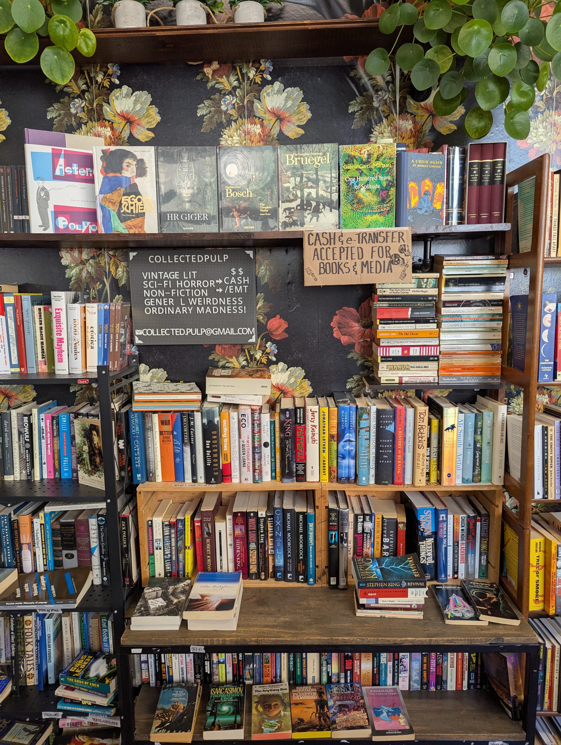 Collected Pulp talks nostalgia and media ownership