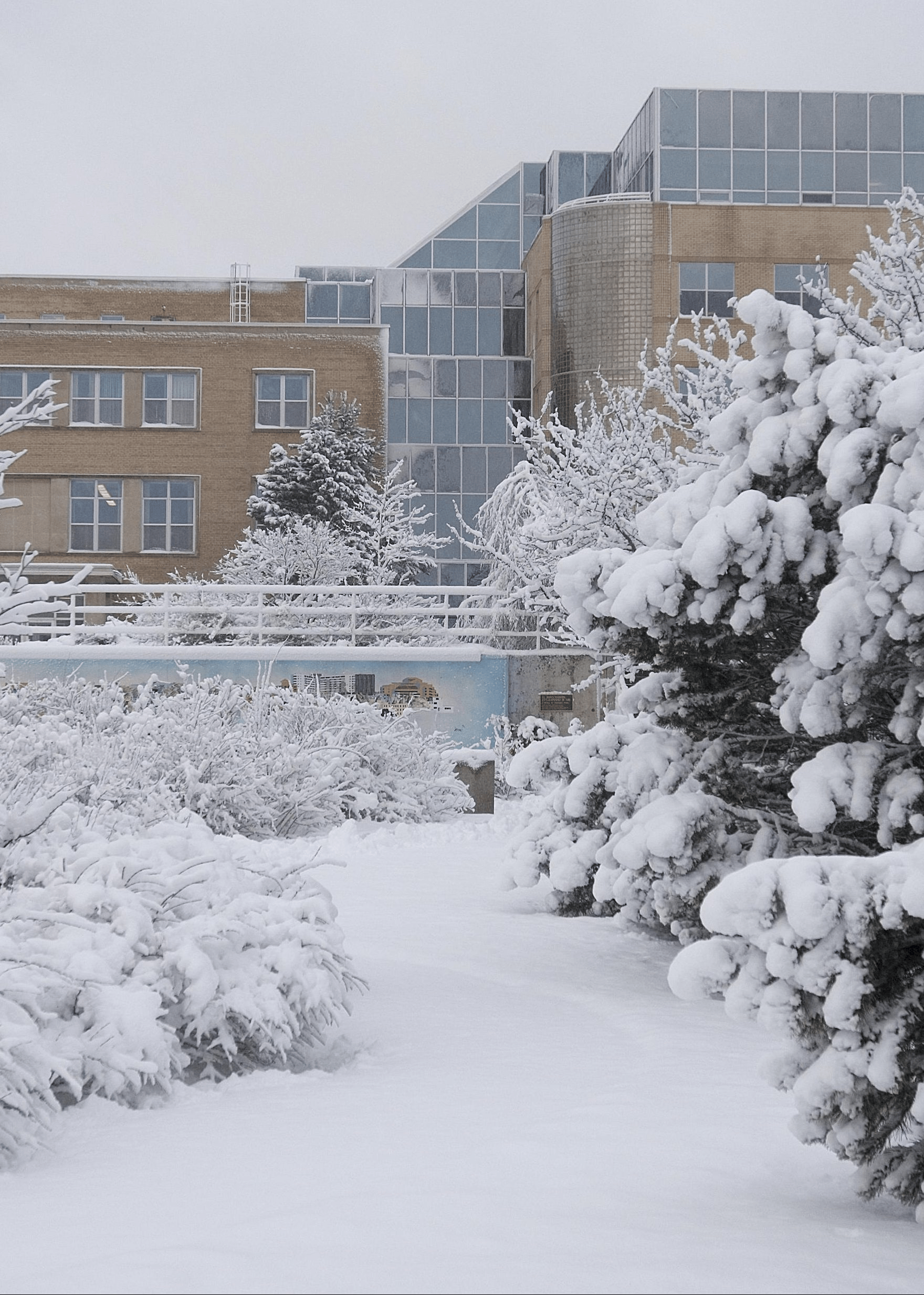 Winter Arts and Admin