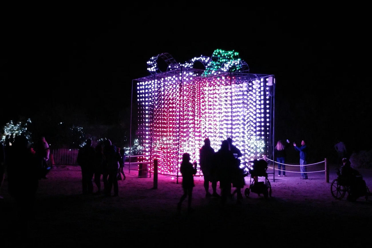 The massive bow-wrapped present LED light pulsing to music at the WildLights Christmas lights display