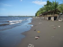 BalibeachesMegBauer