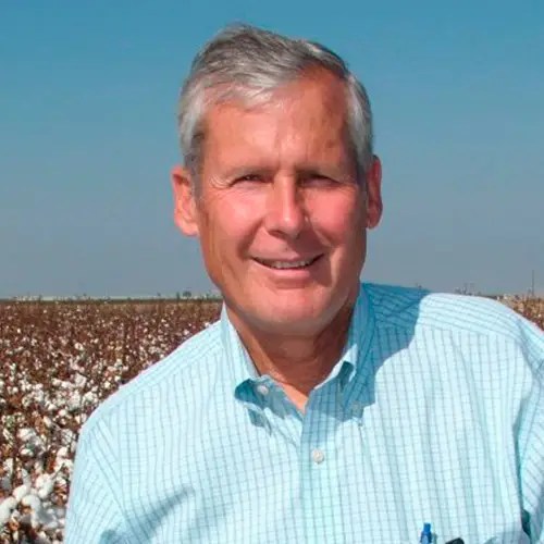 An older man with gray hair, wearing a light blue checkered shirt, stands smiling in a field of cotton plants under a clear blue sky.