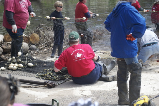 child fishing at Shadfest festival in Lambertville with nets in water