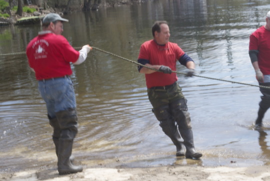 Group of people fishing for shad in shallow river water during Shadfest in Lambertville