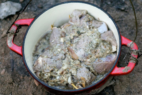 cooked beef with herbs in red-handled Dutch oven for Beef à la Mode camp cooking