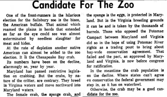 Vintage newspaper article about sponge crab conservation debate between Maryland and Virginia for zoo specimen selection, 1944-1962