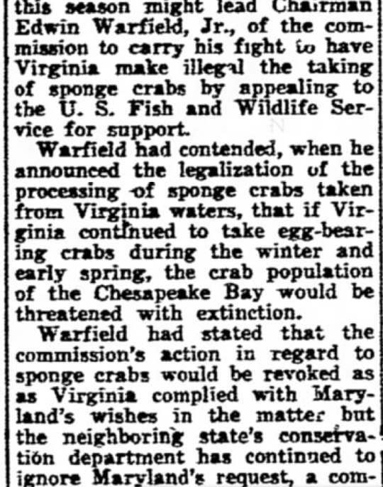 Newspaper clipping about sponge crab harvesting dispute between Virginia and Maryland, 1944-1951 crab conservation conflict