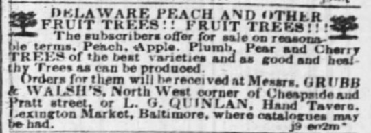 Vintage Delaware peach and fruit trees advertisement from historical newspaper