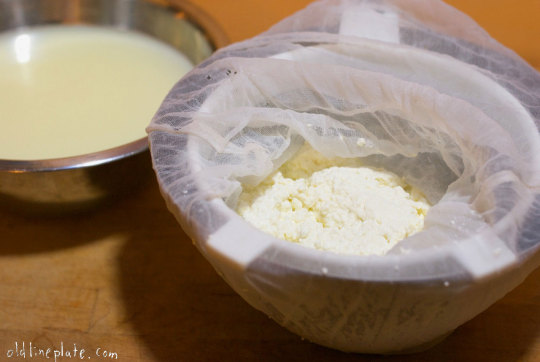 Cottage cheese being strained with cheesecloth with whey in background