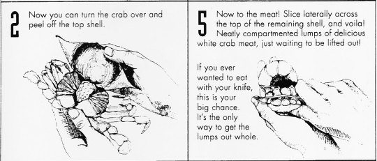 Instructions for preparing crab: turning shell over, peeling top shell, slicing across remaining shell to extract meat lumps whole