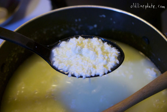 Spoon of cottage cheese curdling