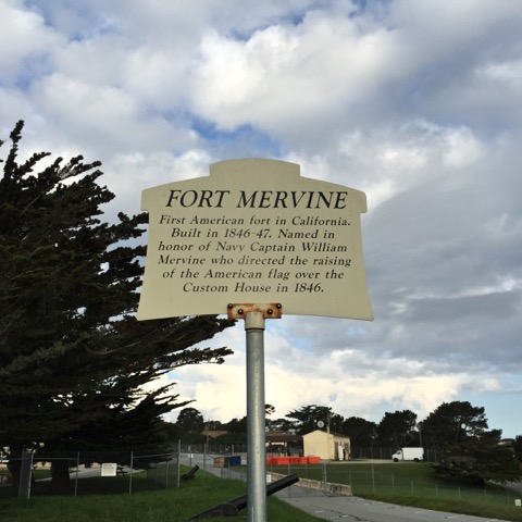 mervinesign
