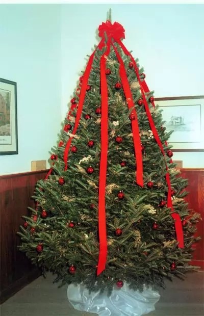 People have an innate curiosity about the natural world around them, and identifying a tree by its leaves can satisfy that curiosity. Americans Are Starting To Prefer European Style Christmas Trees