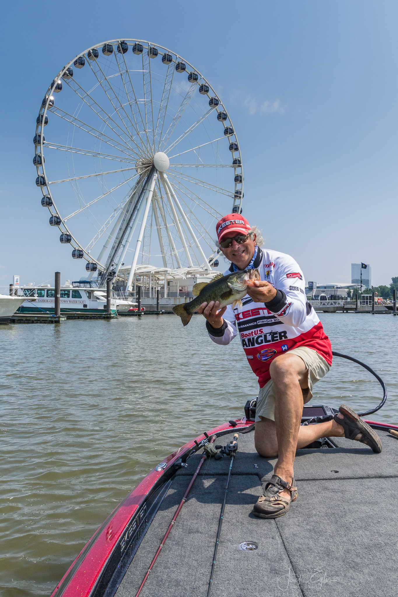 Fish Count