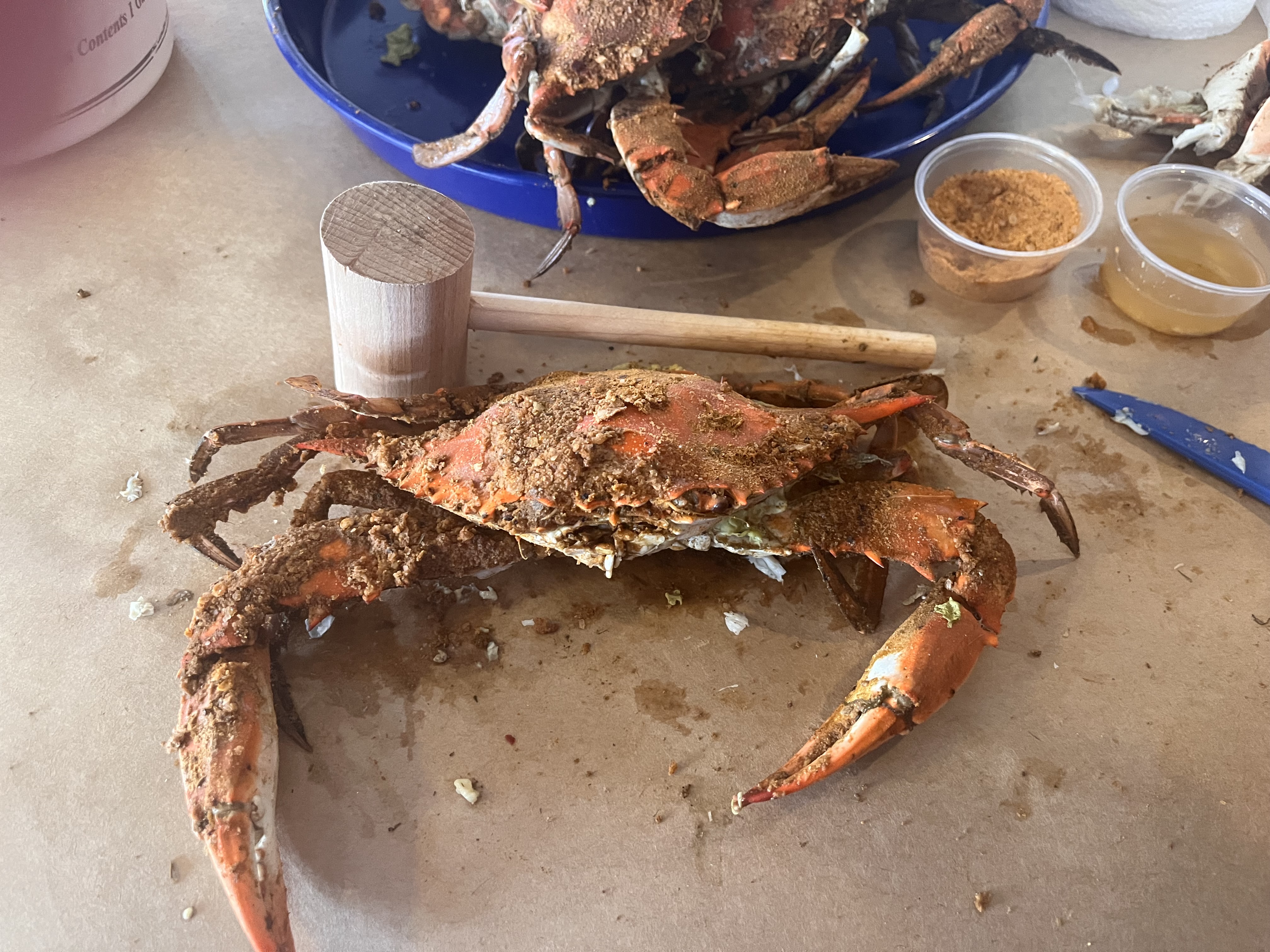 It Was All About the Crabs for Us at Mike's Restaurant & Crab