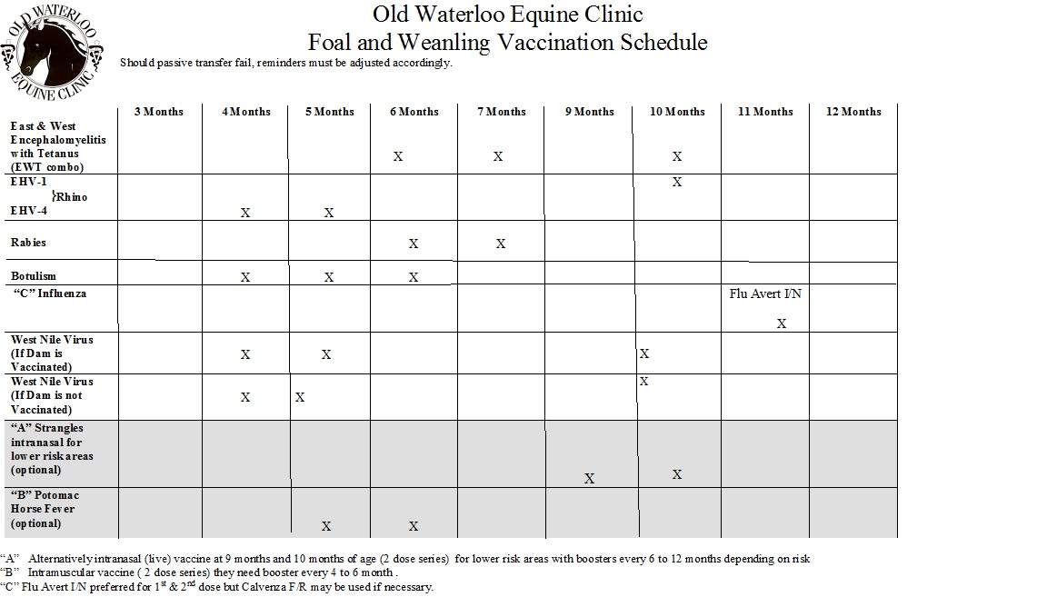 Printable goat vaccination schedule chart