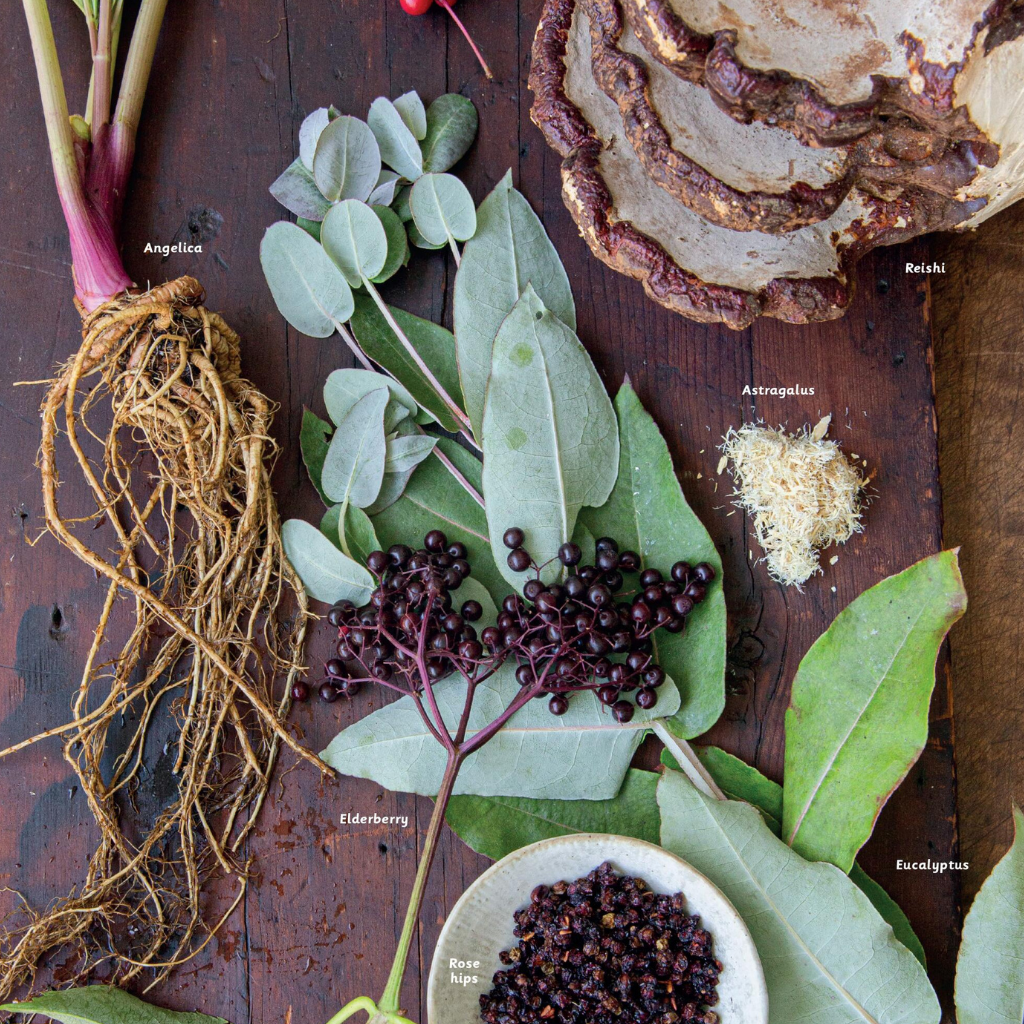 herbs flat lay