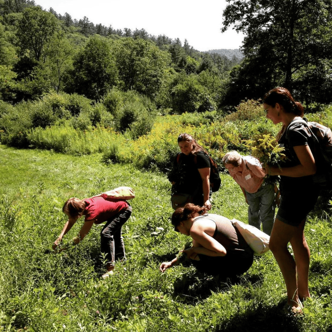 hands-on, experiential learning