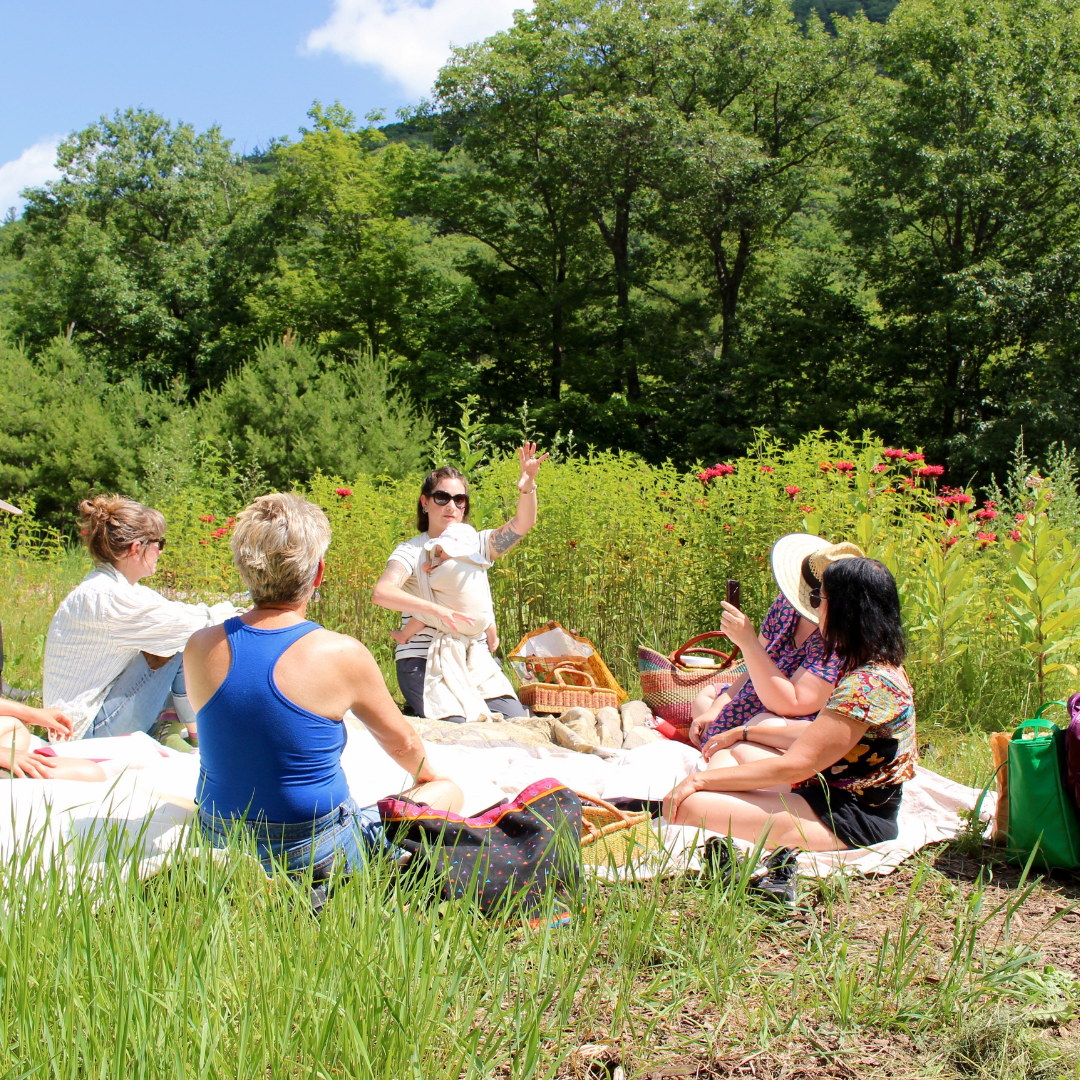A Guide to Herbal Medicine Courses and Hands-On Learning