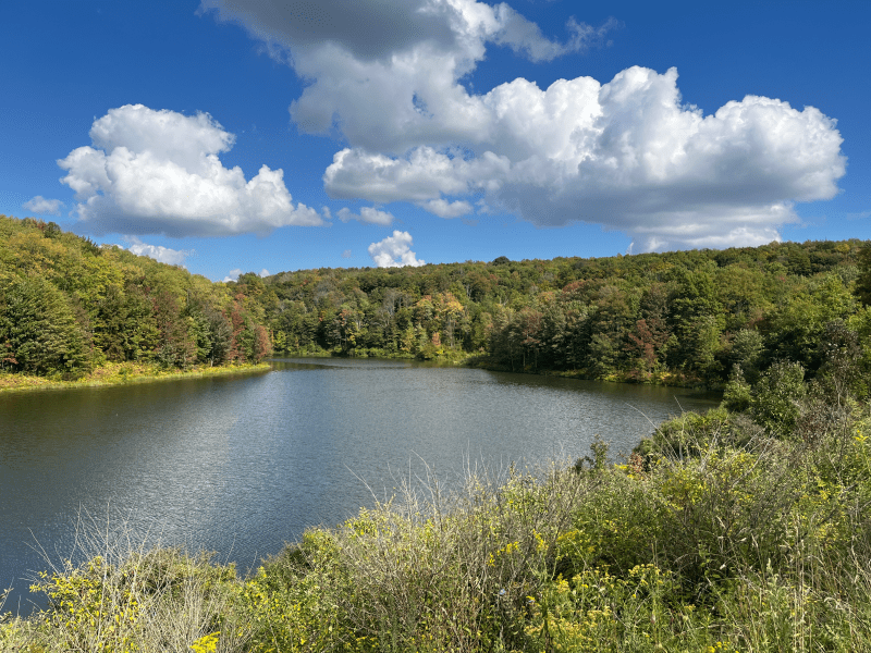Rick Miller/Olean Star)
Ploetz Pond off Route 219 north of Ellicottville is showing off its colorful leaves earlier thna usual this year.