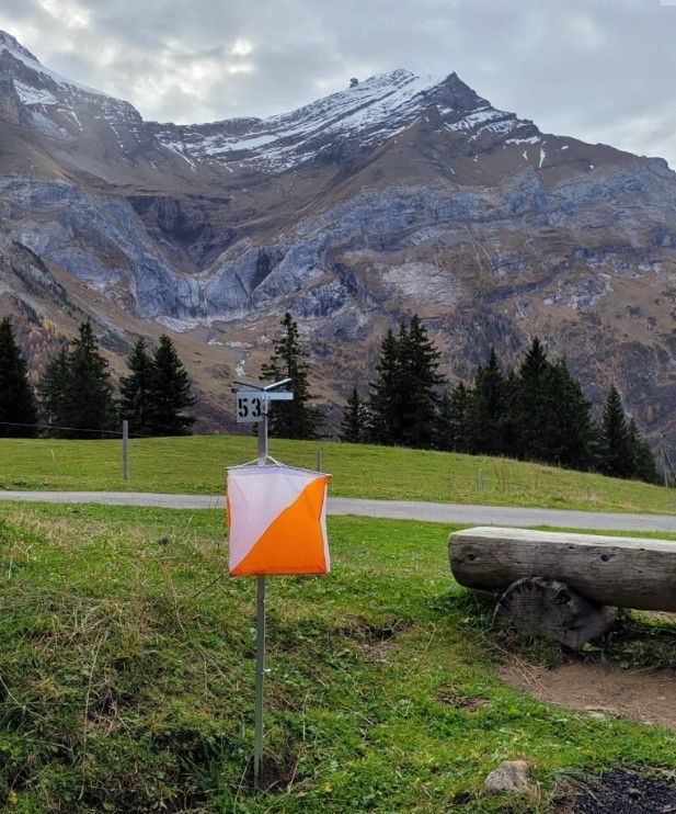 9. Nationaler OL Langdistanz, Col du Pillon – Isenau
