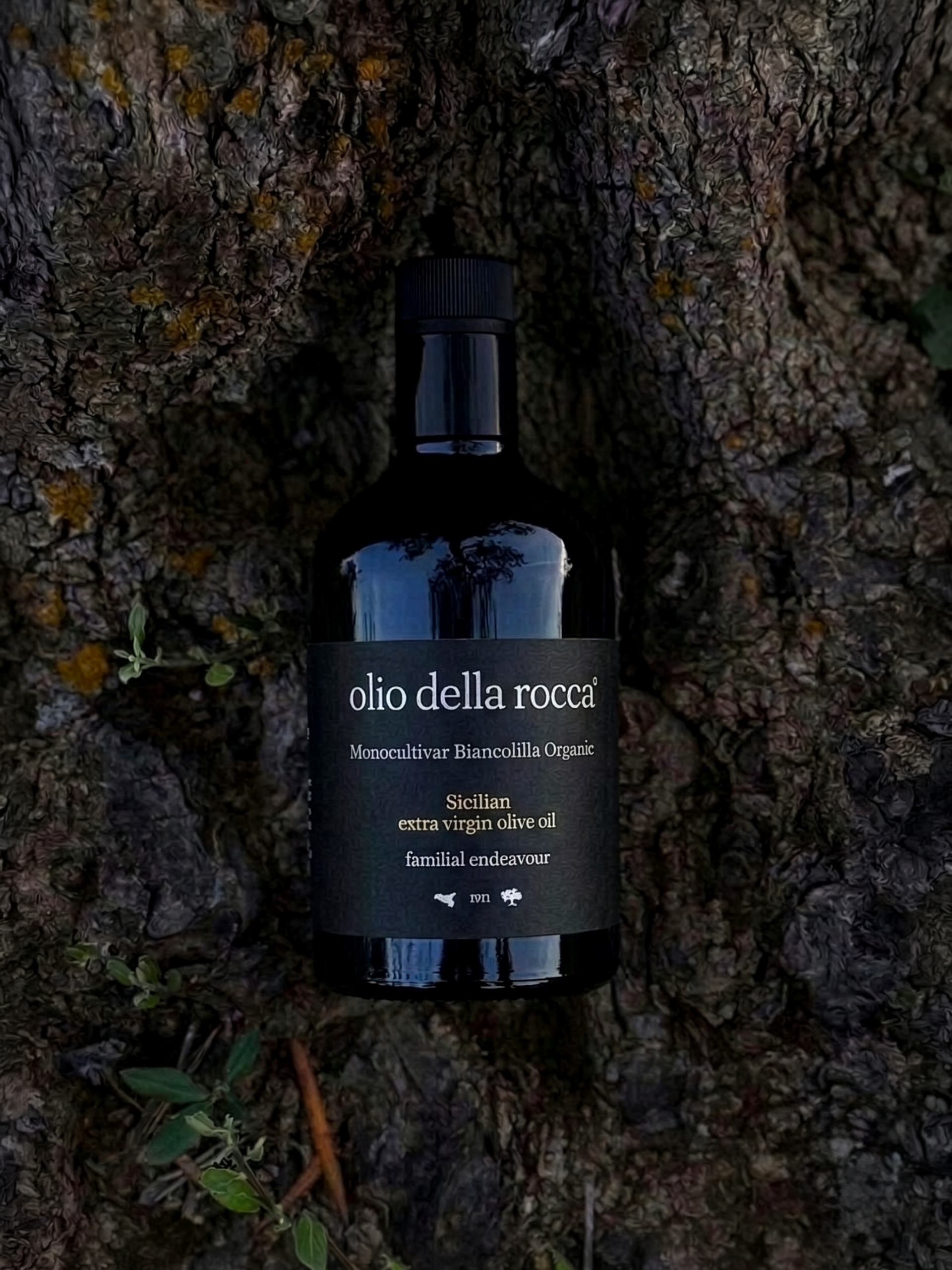 Bio-Biancolilla, natives Olivenöl extra, 500 ml