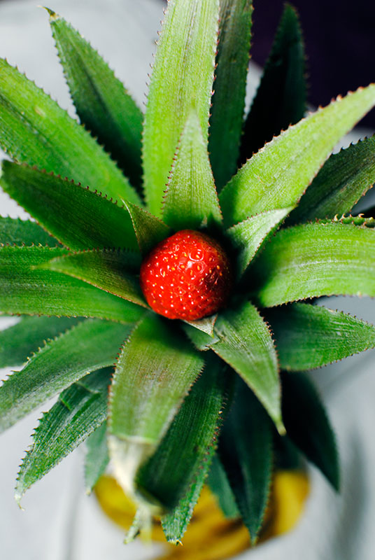 Pineapple or strawberry