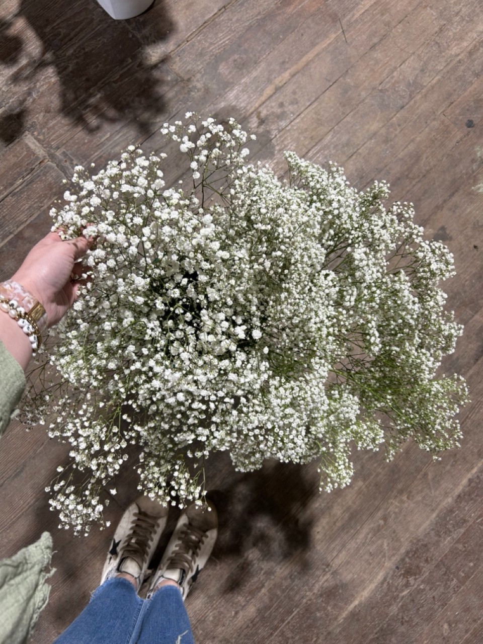 Babies Breath Bunch