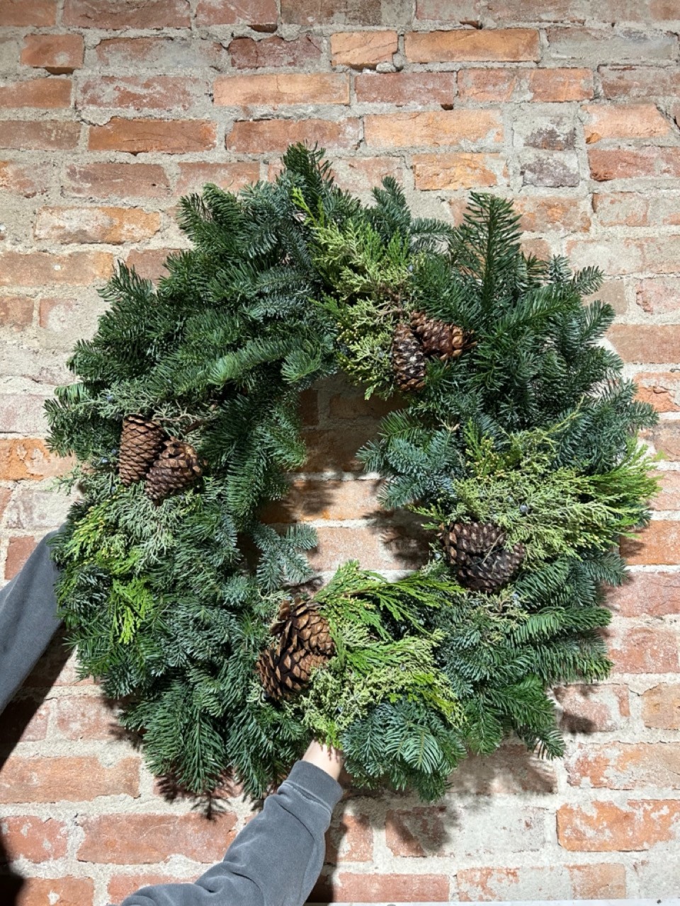 Fresh Mixed Evergreen Wreath - 24"
