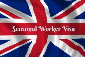 Updates on UK Visa Sponsorship Rules for Employers 8 e61e0c9134b876c449893f1da47ebfa2