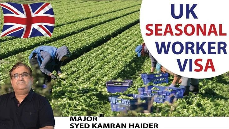 2025 Update: UK’s Seasonal Worker Scheme and Key Changes 5 0b2347e56bc79f5784cb721381926c6b 1