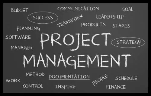 Project Management: How to Successfully Transition to a Professional Tech Project Manager Role in 2025 1 3e598d53f1b14b941de6563cd194b973