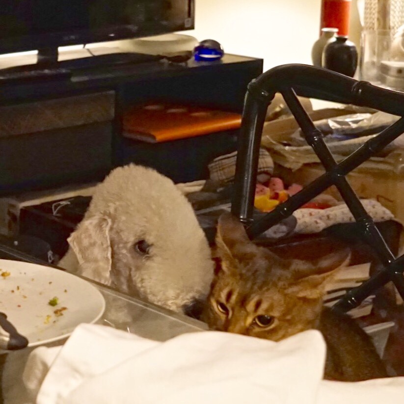 dsc01740 - version 2