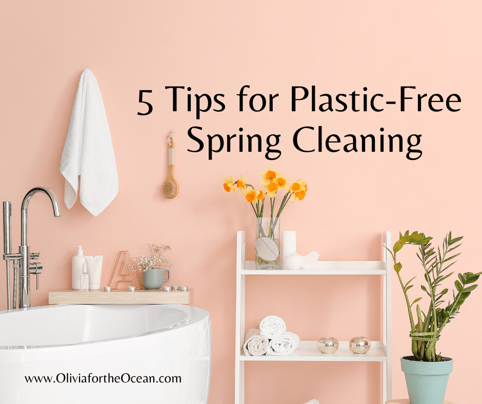 5 Tips for Plastic-Free Spring Cleaning