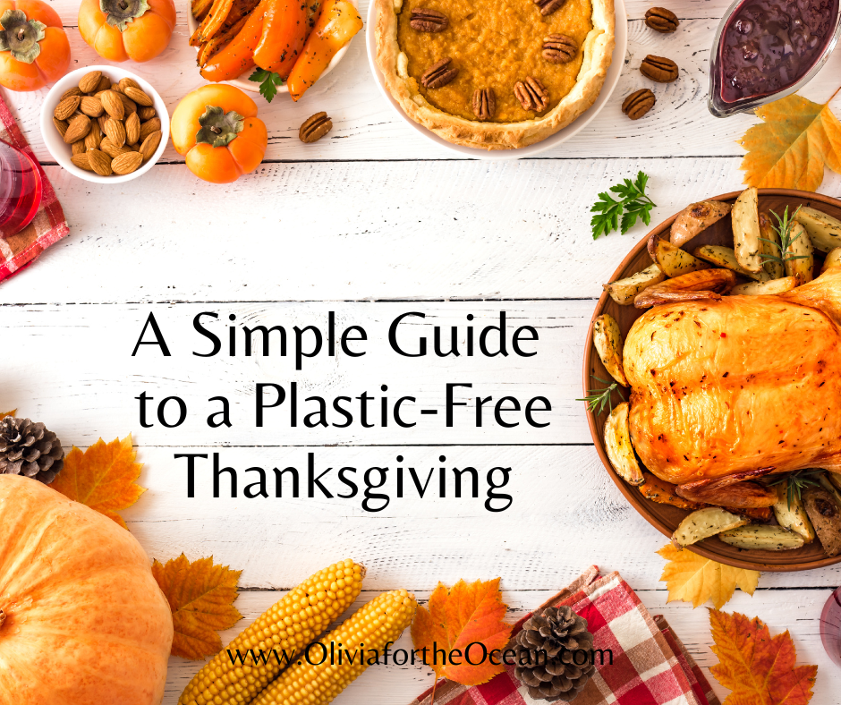 A Simple Guide to a Plastic-Free Thanksgiving