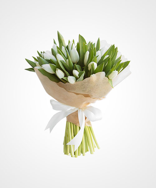 Free Gambar Flowers Tulips Red White Tulipanes Rojos Y Blancos 1920x1200 Terupdate oleh Lampung Hits