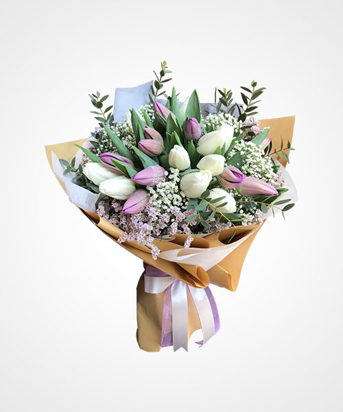 Dapatkan Gambar Bunga Tulip Putih Cantik Terupdate oleh Lampung Hits